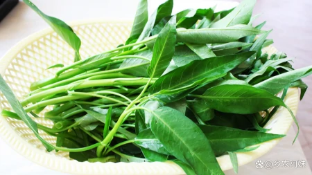 立夏后，这5种应季菜别错过，第五种大多数人不知道-包菜季节