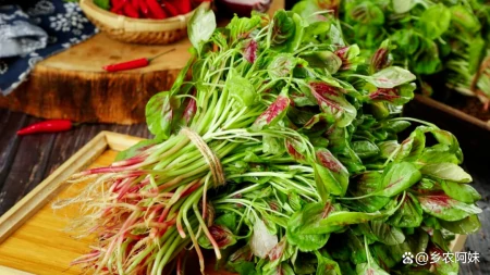 立夏后，这5种应季菜别错过，第五种大多数人不知道-包菜季节