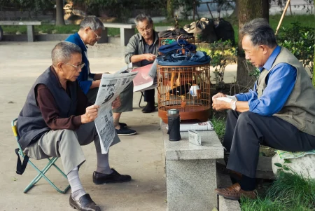 2023年养老金或将继续调整，哪些方式可以缩小养老金差距？-2031年养老金