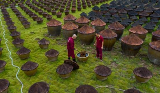 挑白酒时，发现瓶身带有这“5个数”，放心喝！都是100%纯粮佳酿-白酒怎么看产品标准号