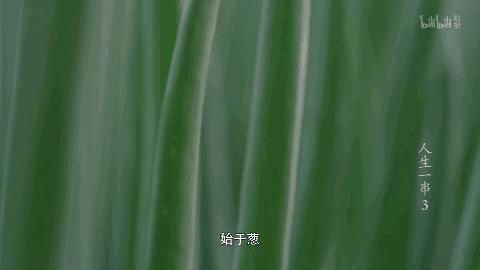 如何评价《人生一串》第三季？开播9.8分，2亿播放量，这几座城的烧烤已经火遍全网！（人生一串第一集分析人物形象）