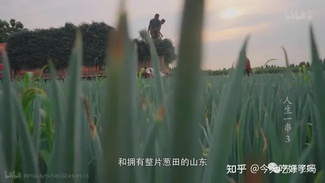 如何评价纪录片《人生一串》第三季第一期？你最难忘的一次吃串经历是什么？（人生一串第3季）