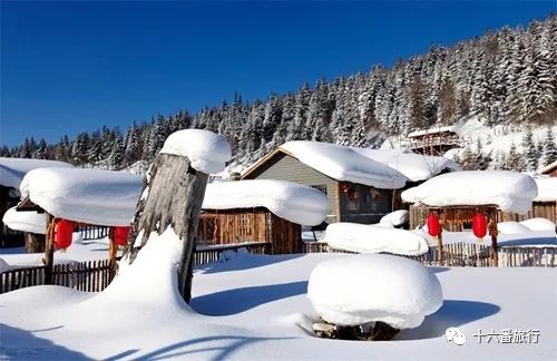 花钱买命的天价雪乡！你还敢去吗？-雪乡低价团坑