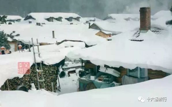 花钱买命的天价雪乡！你还敢去吗？-雪乡低价团坑