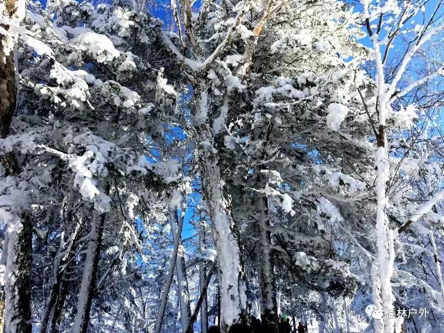 【山里人户外】12月7--13号雪乡初体验，价钱超暖心-山里雪景