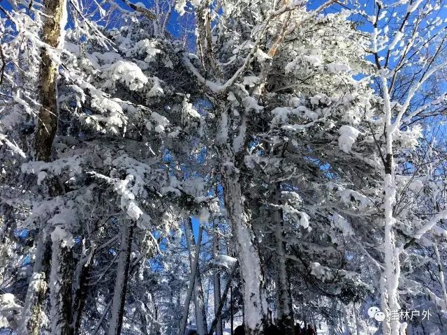 【山里人户外】12月7--13号雪乡初体验，价钱超暖心-山里雪景