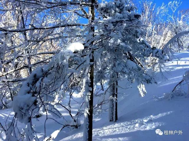 【山里人户外】12月7--13号雪乡初体验，价钱超暖心-山里雪景