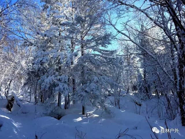 【山里人户外】12月7--13号雪乡初体验，价钱超暖心-山里雪景