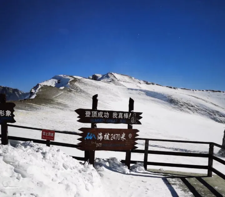 哈尔滨雪乡旅游攻略6天5晚攻略（费用+行程）-哈尔滨雪乡一日游