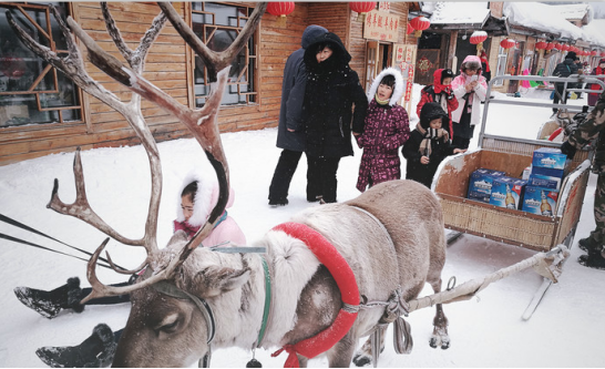 哈尔滨雪乡旅游攻略6天5晚攻略（费用+行程）-哈尔滨雪乡一日游