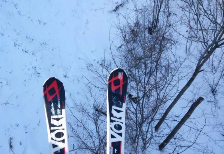 哈尔滨雪乡旅游攻略6天5晚攻略（费用+行程）-哈尔滨雪乡一日游