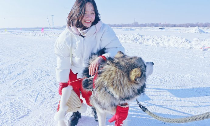 哈尔滨雪乡旅游攻略6天5晚攻略（费用+行程）-哈尔滨雪乡一日游