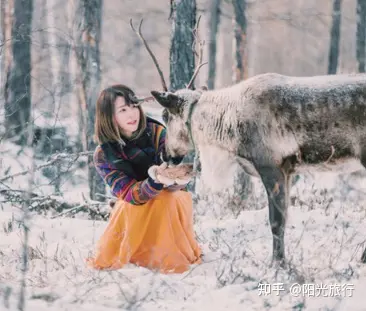 情侣两个人去雪乡旅游需要多少钱，两个人玩雪乡4-6天仅需1580！省钱省心！-雪乡两日游跟团