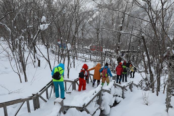 再去雪乡，不挨宰是必须的-能去雪乡吗