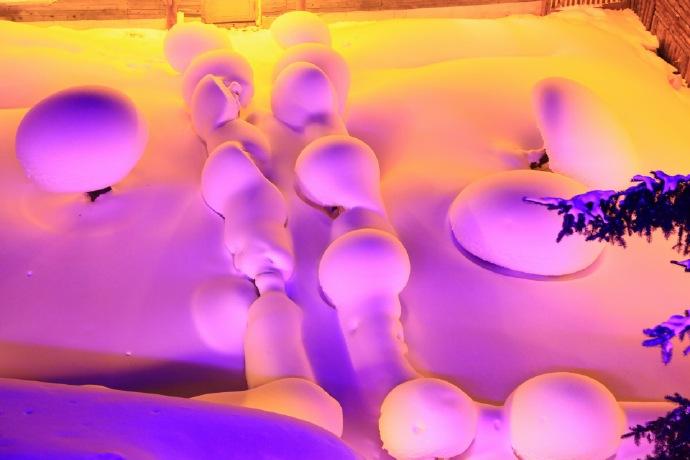 再去雪乡，不挨宰是必须的-能去雪乡吗