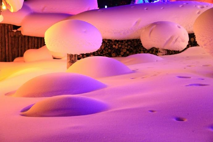 再去雪乡，不挨宰是必须的-能去雪乡吗