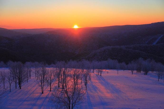 再去雪乡，不挨宰是必须的-能去雪乡吗