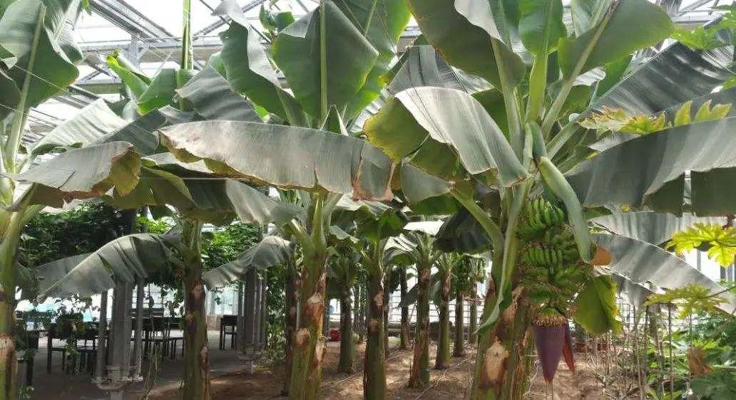 关东民俗雪乡游玩攻略-关东雪乡天气预报