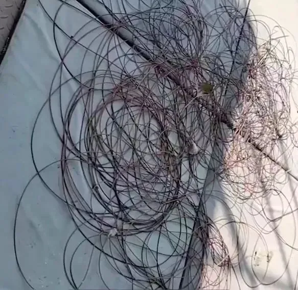 天津一游客玩「步步惊心」突发昏迷坠落后死亡，当地景区正整改，景区需担什么责任？高空项目有哪些安全隐患？（景区步步惊心设计）