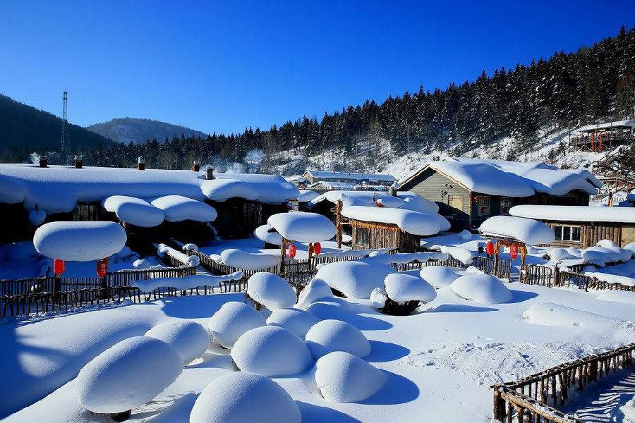 这个元旦东北雪乡游 这份攻略请收好-东北雪乡风景区在哪里