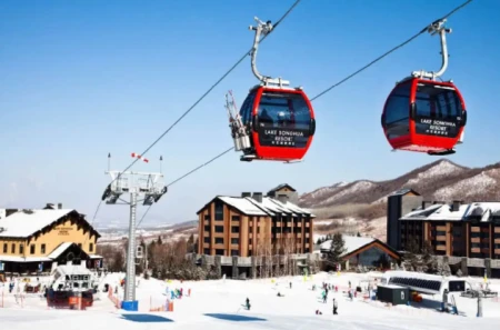 曾经“宰客”无数的雪乡，如今改过自新，游客：换汤不换药罢了-过去尝尝做某事短语