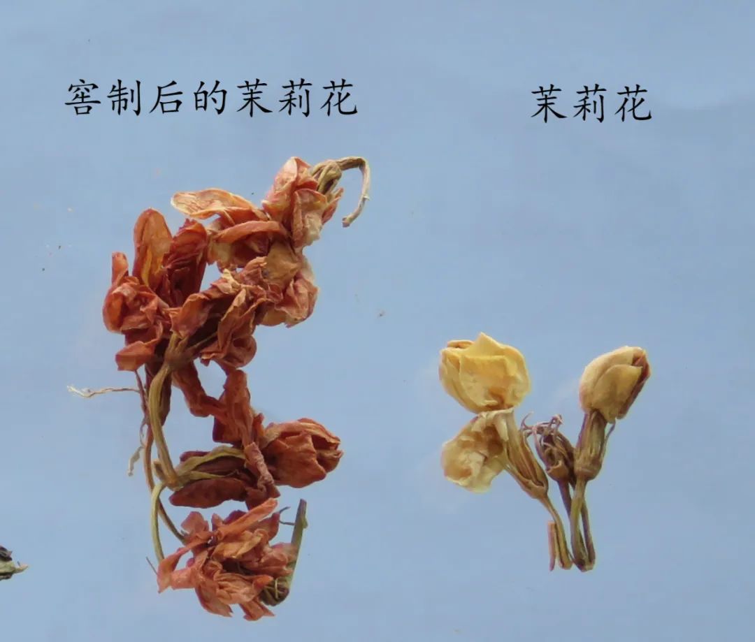 罗汉果鉴别(罗汉果、黄金罗汉果区分、街边罗汉果花草茶真伪大揭秘)-罗汉果与黄金罗汉果的区别