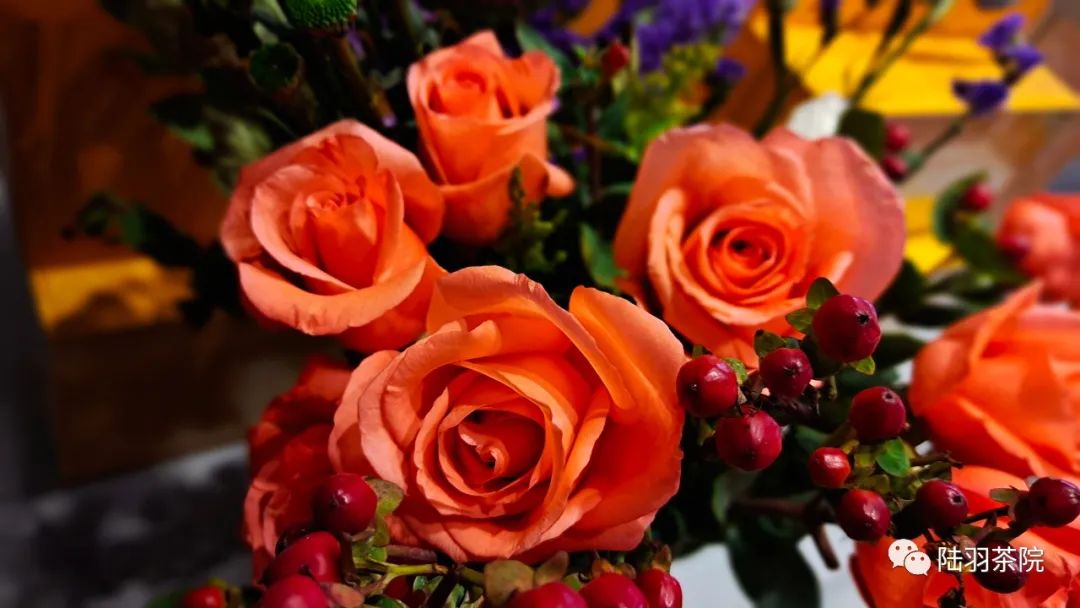 茶中有金句-茶语名言