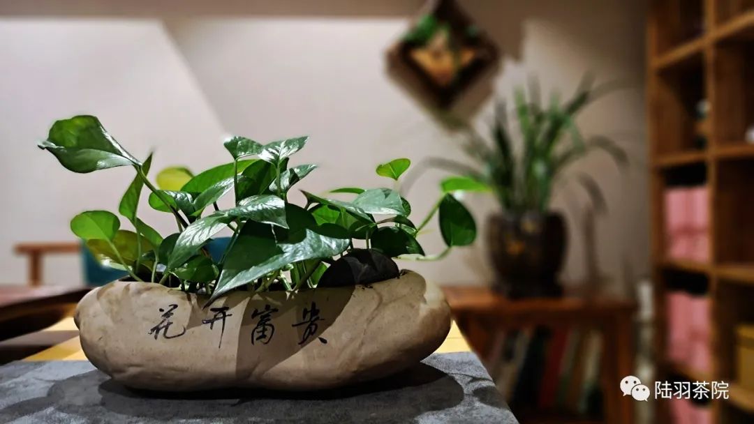 茶中有金句-茶语名言