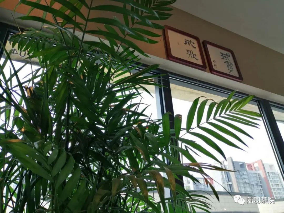 茶中有金句-茶语名言