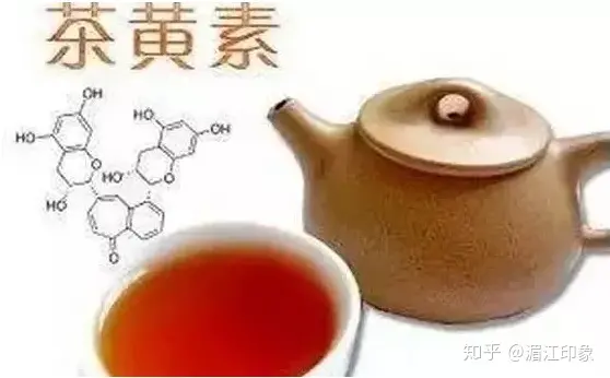 茶叶中的“软黄金”——茶黄素-茶黄素含量最多的茶