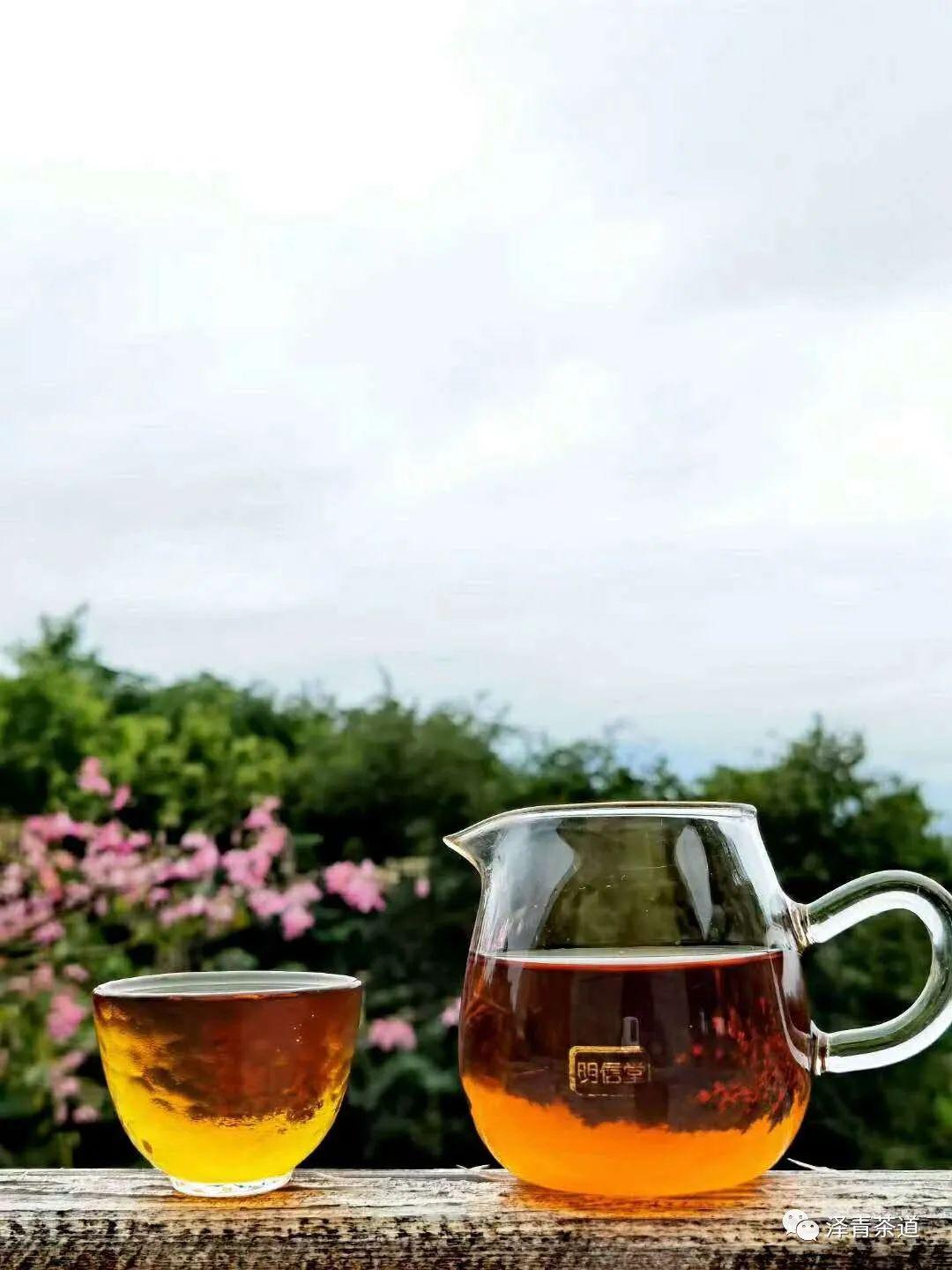 碎银子（茶化石）熟茶，四季养生必备-碎银子茶化石怎么保存放哪里