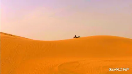 红尘眷恋，岁月留痕-红尘眷侣