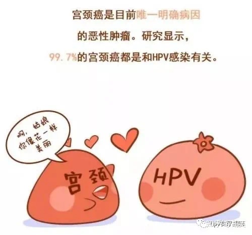 TCT报告怎么看？报告显示病变、可能是炎症！-tct检查结果怎么看报告图片