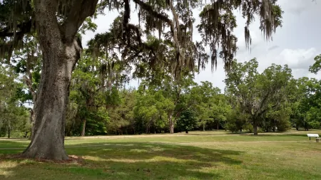 带你了解肿瘤之十：环境因素是如何让人得肿瘤的？-人类肿瘤的85~90%是由环境因素引起的