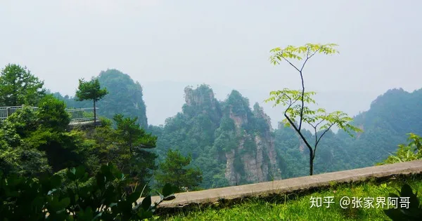 张家界三日游攻略，三天时间玩遍张家界核心景点，不虚此行！-张家界三日游路线攻略大全