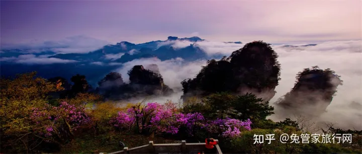 张家界3日游超省心路线游玩攻略-张家界三日游线路