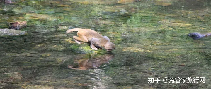 张家界3日游超省心路线游玩攻略-张家界三日游线路