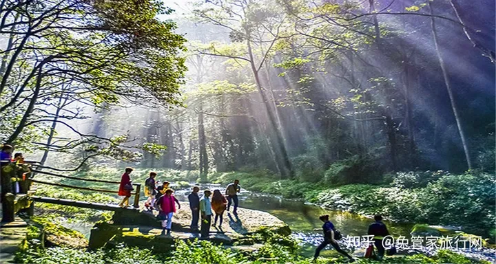 三天游玩张家界攻略分享，省心又省钱，还不快收藏起来-张家界旅游攻略三天详细攻略