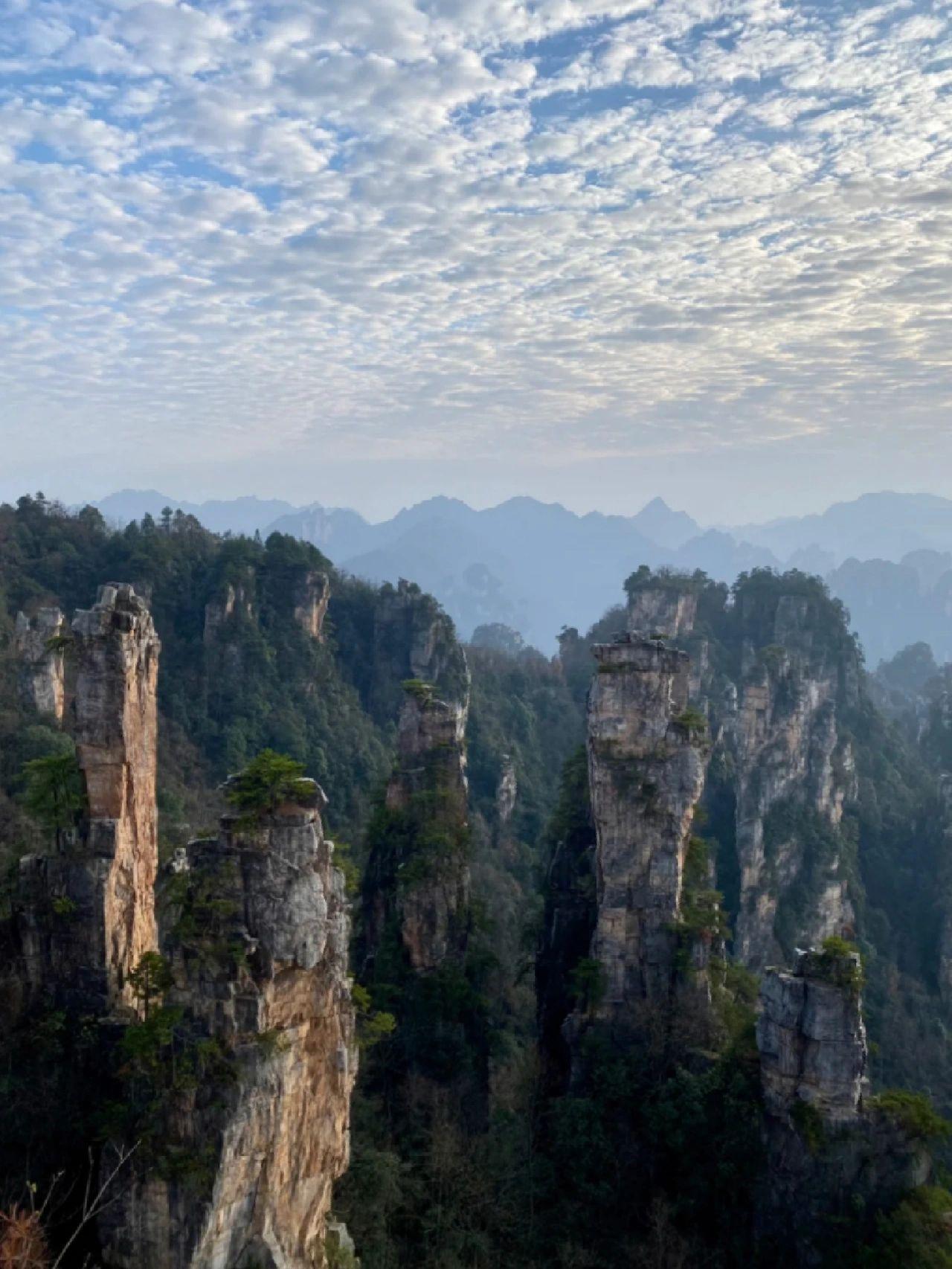 张家界三天两晚旅游攻略，这里有你想要的，快来看看！-张家界盛达国际旅行社怎么样