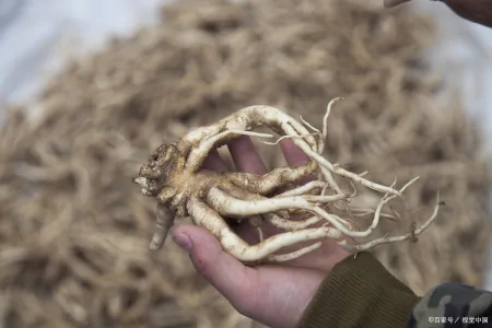 慢性咽炎如何调理？多喝“五大神水”，越舍得喝，喉咙越舒服（慢性咽炎有什么泡水喝）