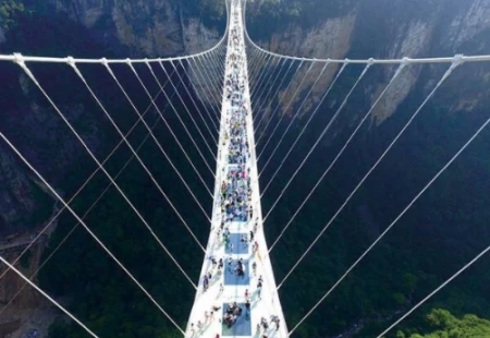 张家界一4A级大峡谷景区，空气清新，受到不少游客的喜爱-张家界大峡谷门票价格一览表2021