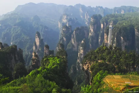 张家界旅游攻略，青山白云，喜欢自然风光的游客有福了-张家界的山水