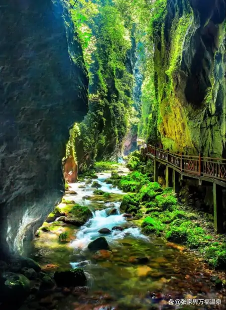 2022张家界小众旅游景点吃住玩全攻略，让你避开人潮，安逸度假-打卡张家界,美景不胜数