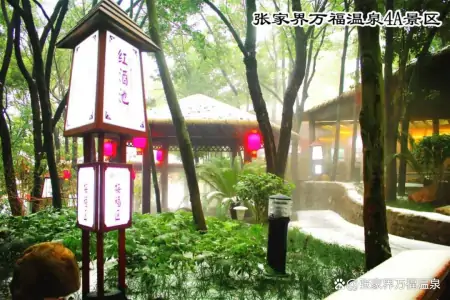 2022张家界小众旅游景点吃住玩全攻略，让你避开人潮，安逸度假-打卡张家界,美景不胜数