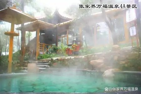 2022张家界小众旅游景点吃住玩全攻略，让你避开人潮，安逸度假-打卡张家界,美景不胜数