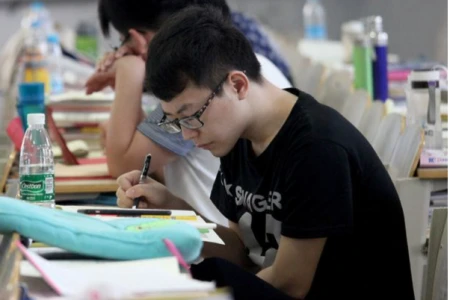 专科生迎来好消息，教育部：无第一学历的说法，用人单位却不承认-第一学历专科博士的出路