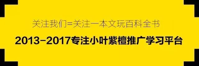 超名贵小叶紫檀树桩盆景，富贵人家首选绿植-小叶紫檀树苗盆栽