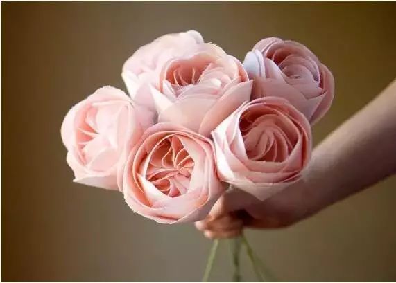 十大名贵植物排行，涨知识了！-名贵植物花卉品种大全