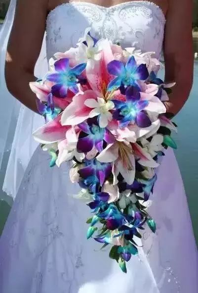 十大名贵植物排行，涨知识了！-名贵植物花卉品种大全