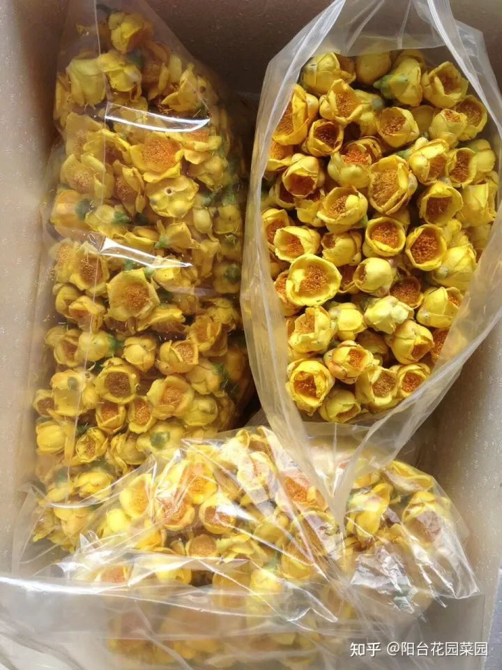 8种“昂贵花”，工薪族“舍不得”买，但是太好看，有钱要买个遍-比较贵的花材是什么花